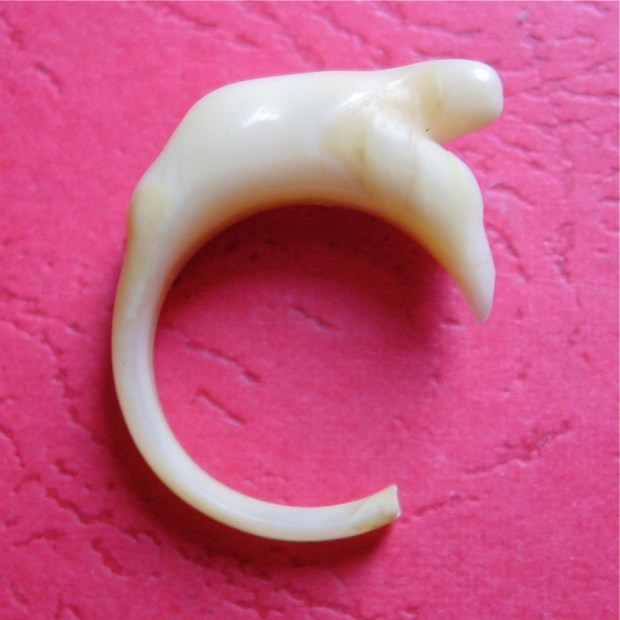 A broken carved ivory bear ring