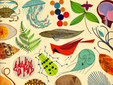 Detail from Charley Harper: An Illustrated Life