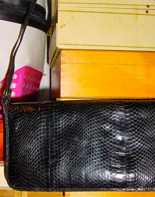 vintage snakeskin purse