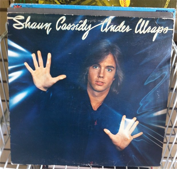 Shaun Cassidy album cover