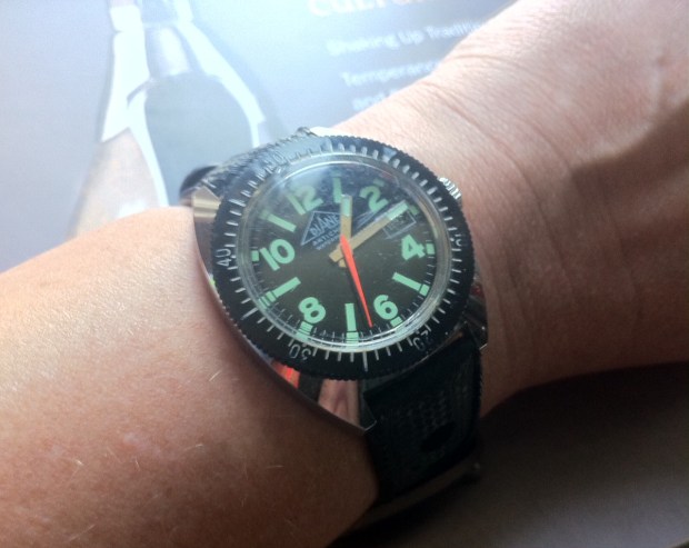 Vintage Diane Dive Watch