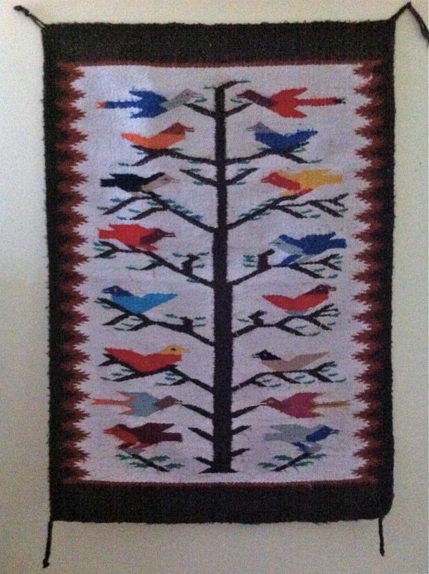 navajo birds