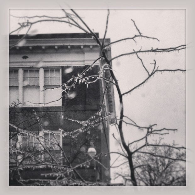 ice storm Charles G Fraser