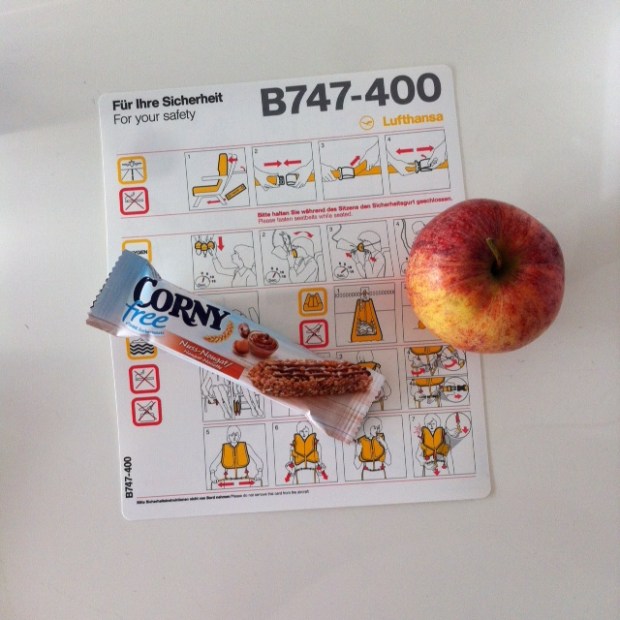 blog dresden freebies