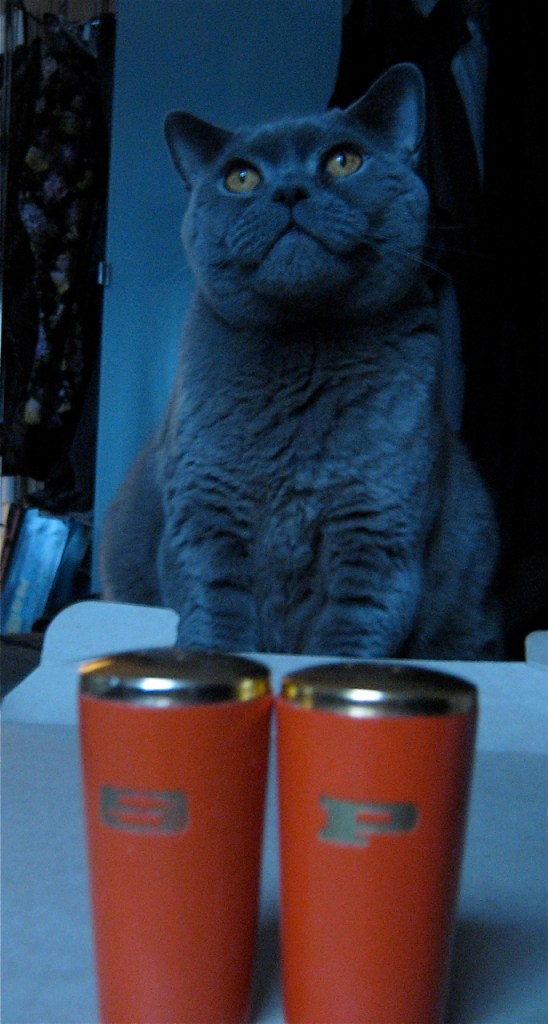 salt and pepper shakers