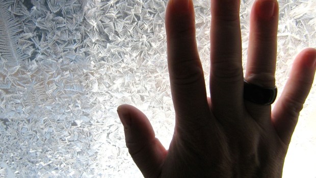 wood ring frosted window