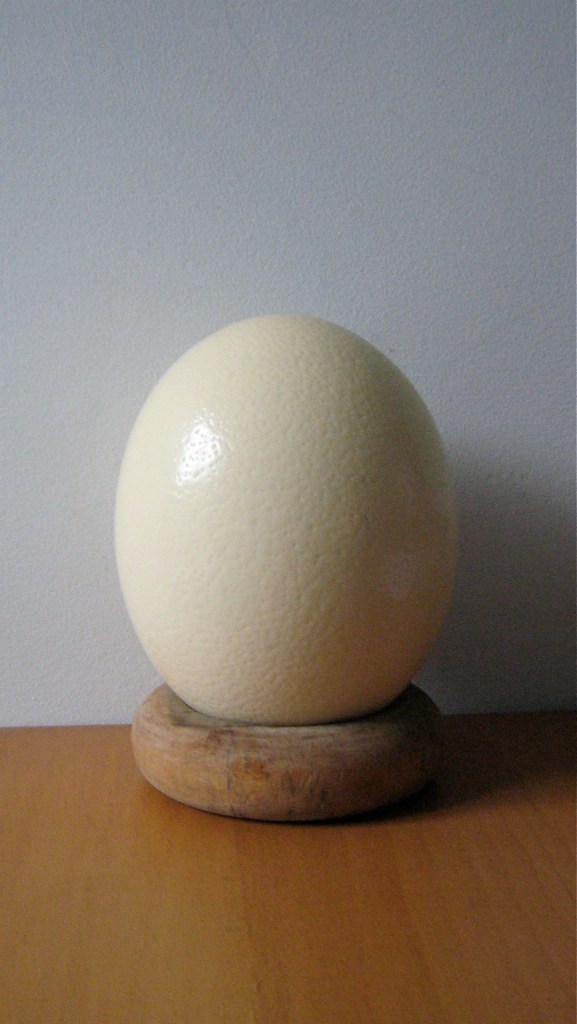 ostritch egg