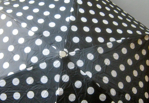 polka dot umbrella