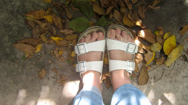 Birks