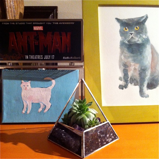 acorn Studio Terrarium