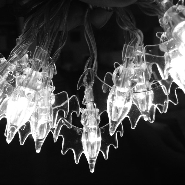 blog  LED bat Lights