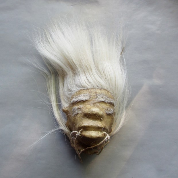 blog shrunken head