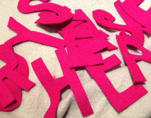 blog protest poncho 4