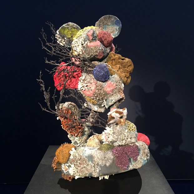 4C96117C-9D95-48C8-B0A6-4D587FCA69C5