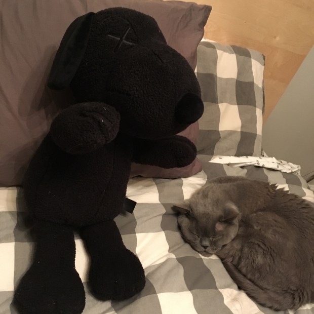 45DF092D-1BBF-48FF-A3C3-D64E8D76D183