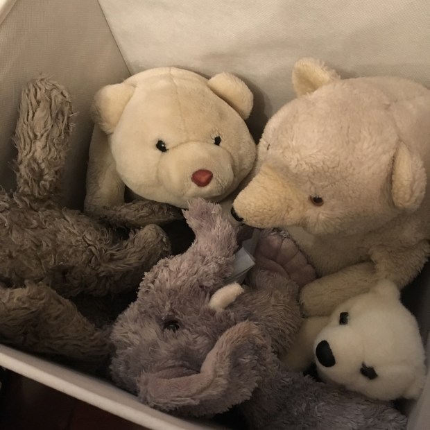 2CECC00F-6E4B-4688-A5A9-70208E2E9AA0