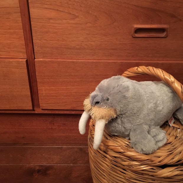 8D1100A9-5F4D-46A9-B7EE-8F34A2372635