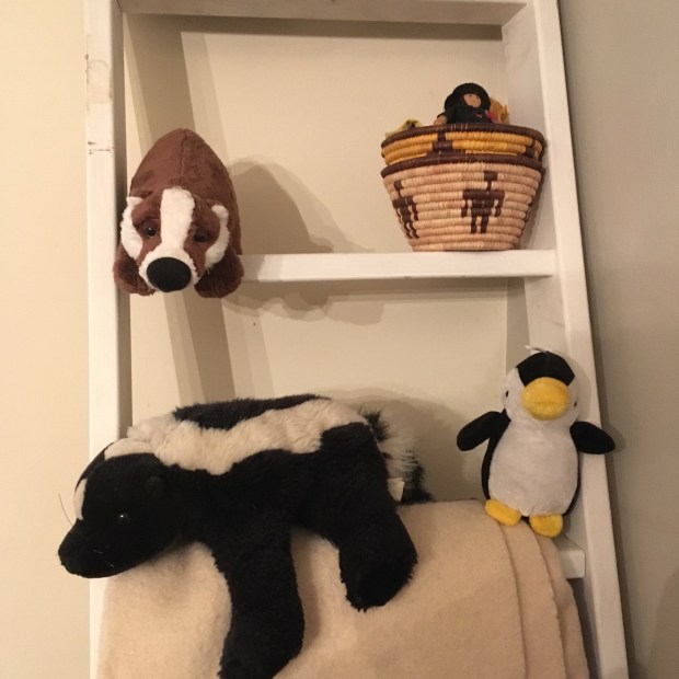 F2C12698-4FBC-44C4-BAAA-04241E93E64C