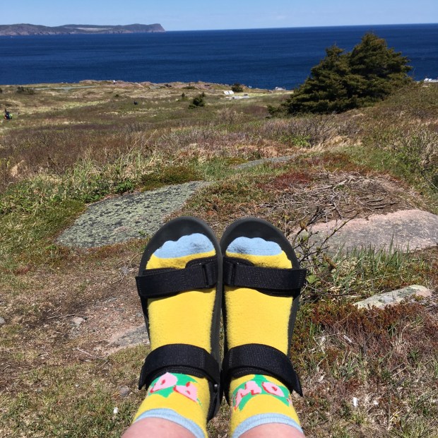 CE8B6E1A-C15A-4169-89AE-DA35E81A89A8