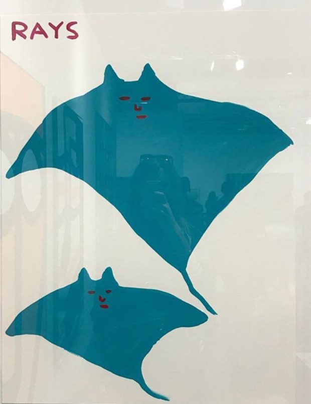 8DF91F61-CD8C-42CF-B31B-EF1286191979