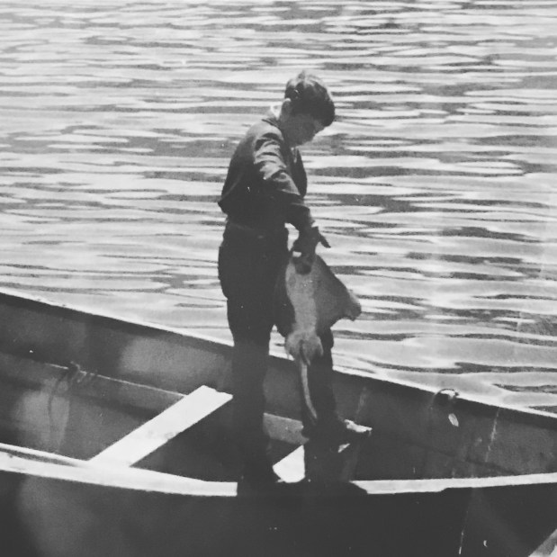 CC8236E6-1C4D-4F9F-A8F6-37CEBB6B1F2E