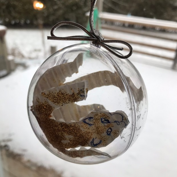 1CA82D45-E9B8-42FE-98FD-4988DE0C7364