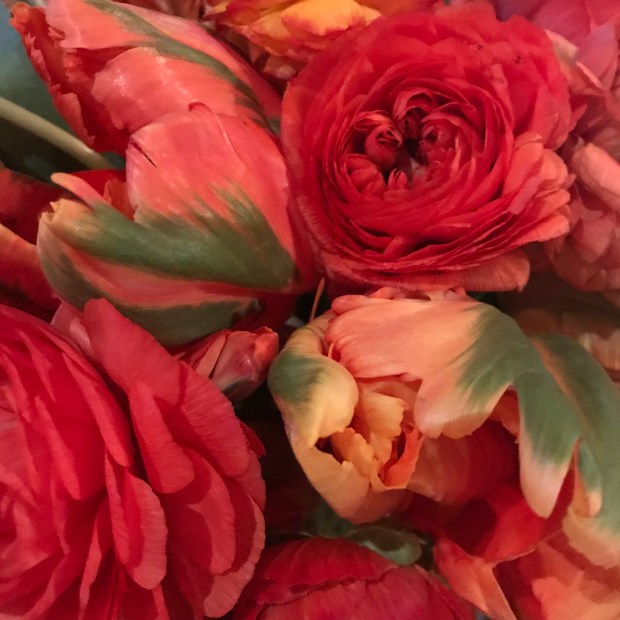 C034E241-AD01-4E2B-980A-36DA8C937B98