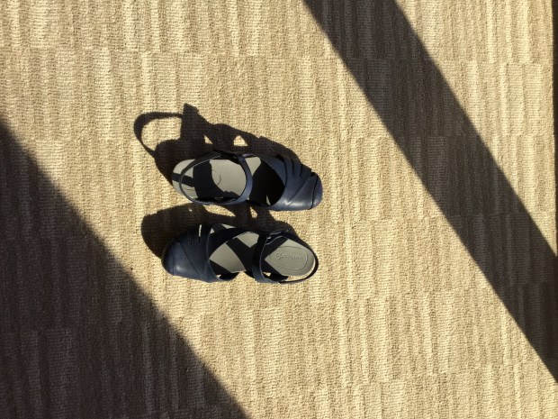 D0765E51-907F-4531-94B8-9DD9037ED5C4