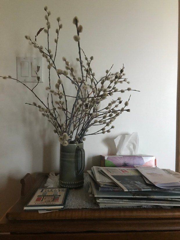 4B08CA5A-F1A0-4DB0-8195-57D1CD3C837A