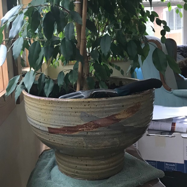 D74F9410-6BA8-4325-8A88-C396F6B1AADF