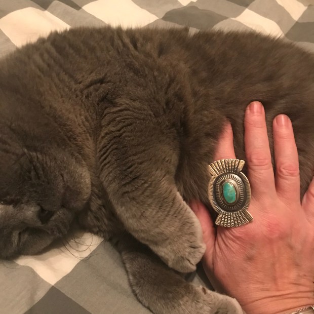 64F5980E-9BD4-4BBA-B7CB-99FF63EEA2F0