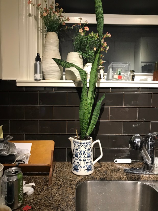 2D488B48-6806-4061-B65B-35CAC13BF0AC