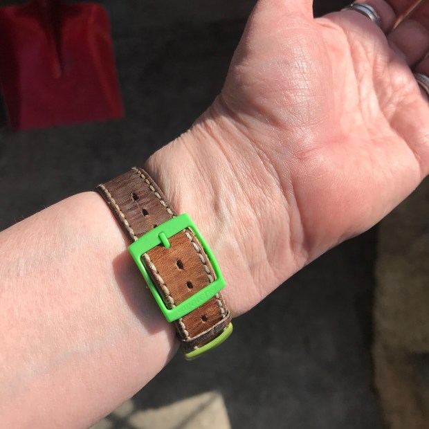 AA03387E-EBC9-4401-A21A-33E93CD22385