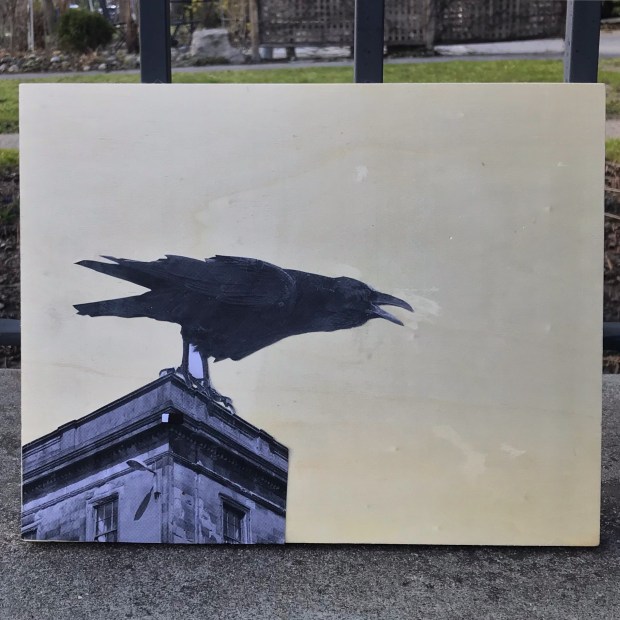 B484F073-3FE7-4D27-89B3-1B16D7D3D52C