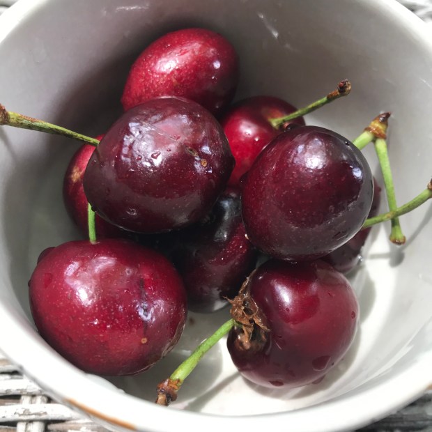 08BC1E7D-86FB-4632-B2F0-8E1E3154B6D6