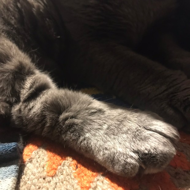 9083DE75-DAD1-445D-AC1C-1A9C38AF3872