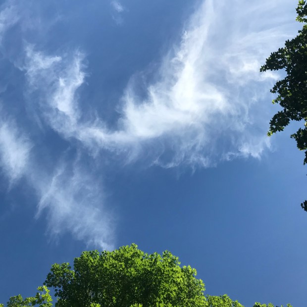 FF6E0883-65F1-4E3E-B113-47B3D3D98AD0