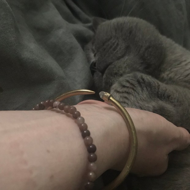 C6795340-E5CD-4361-A3DC-6A5624D38FFF