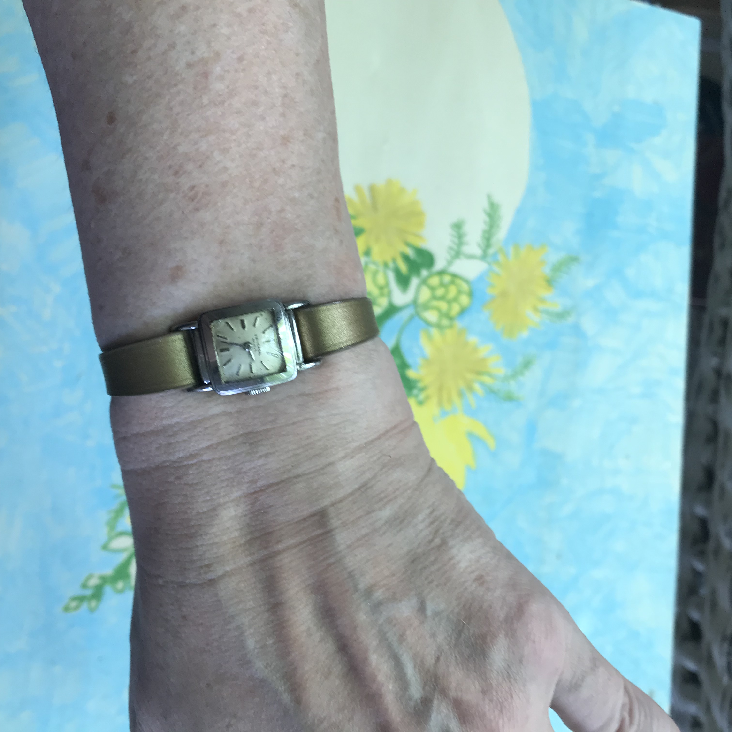 6C49DAB3-C72E-4CB1-AA5D-53A456D76CBC