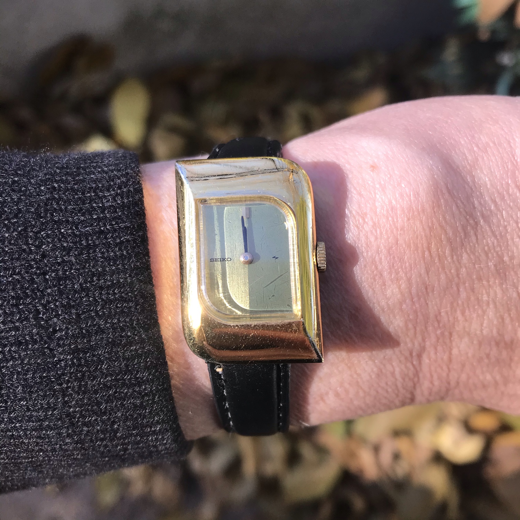 A5D5A1F4-7161-4927-9B0D-282A8962743F