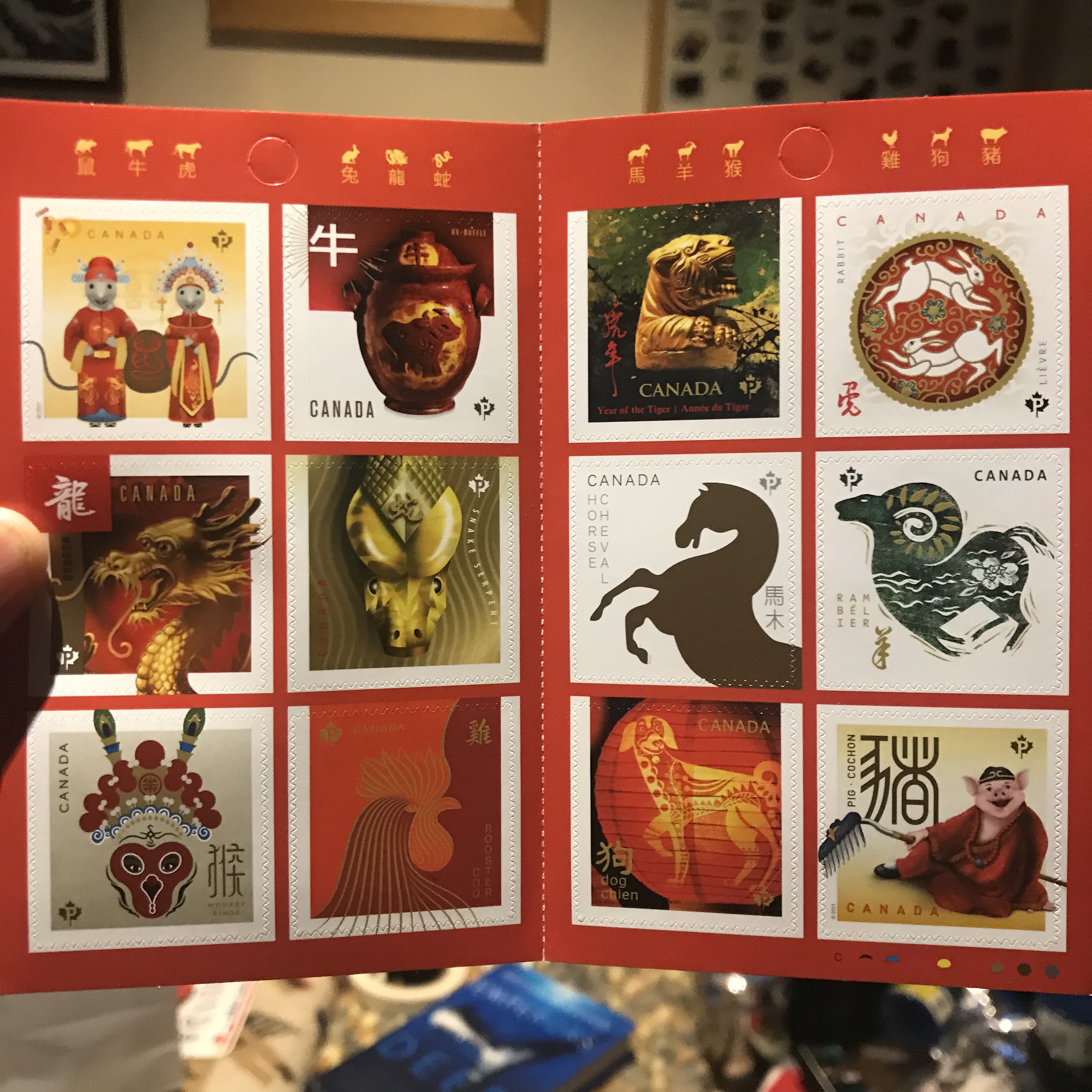 BFD7AF96-EE79-4430-A49A-0811721321E1